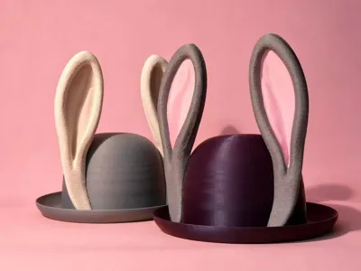 Rabbit Ear Hat