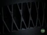 Саксия havenis