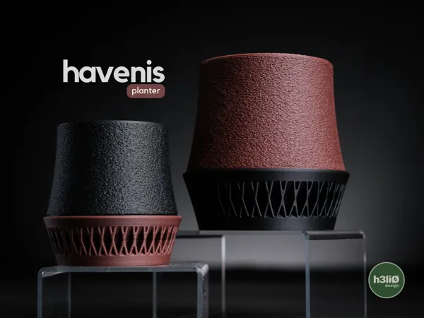 Саксия havenis