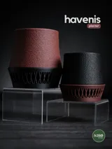 Саксия havenis
