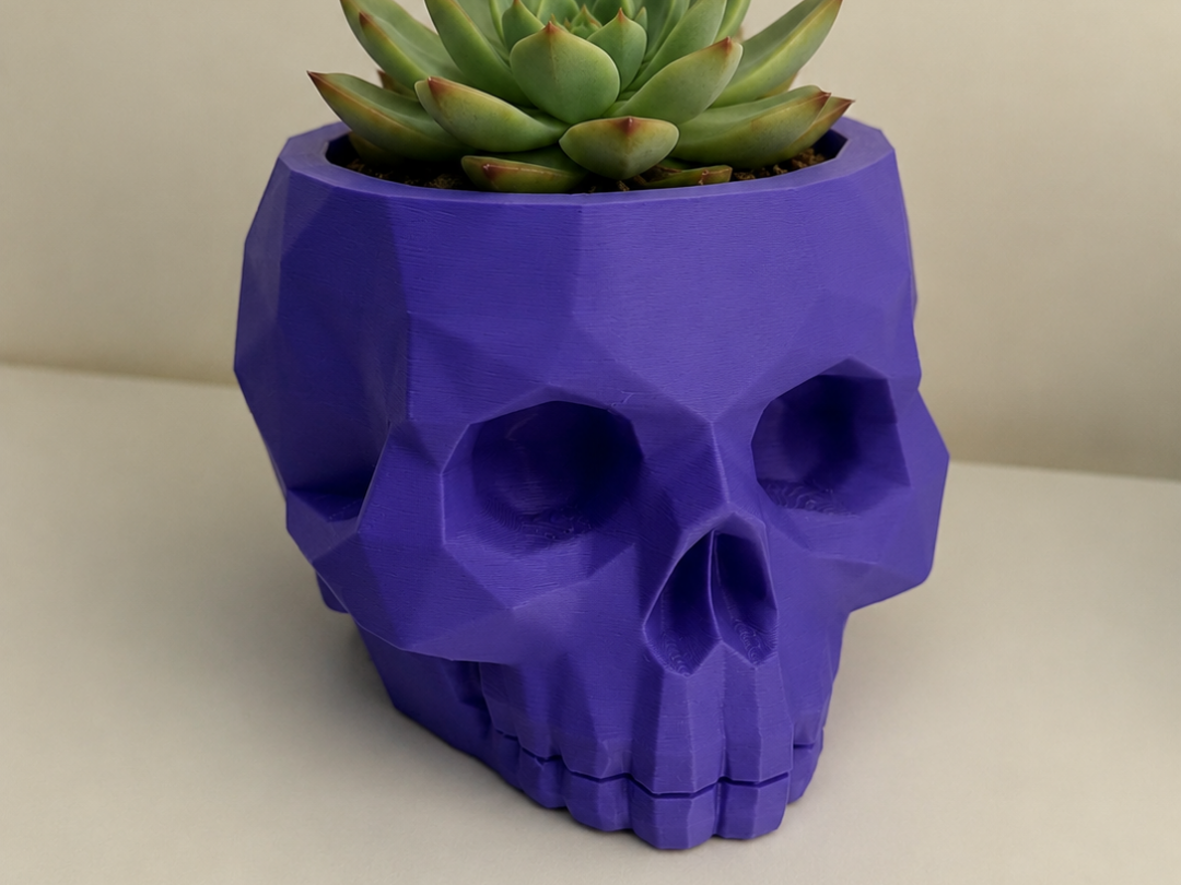 Geometric Skull Planter