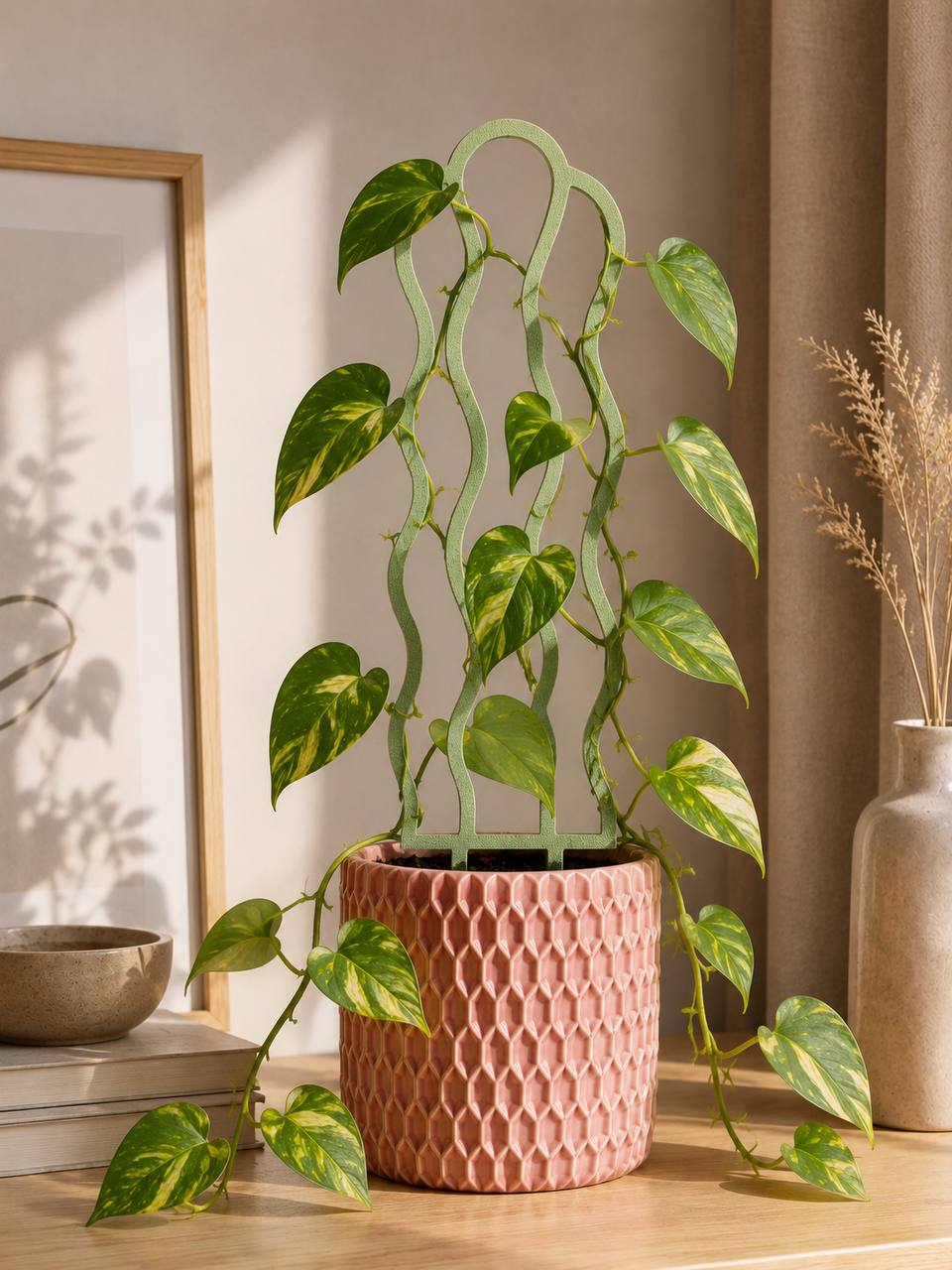 Soporte: Plant support — vista de referencia 3