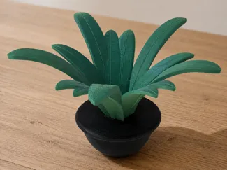 Fern Plant 