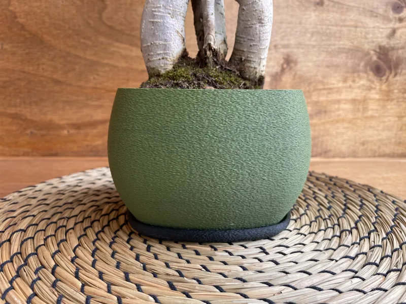 Vaso Bonsai