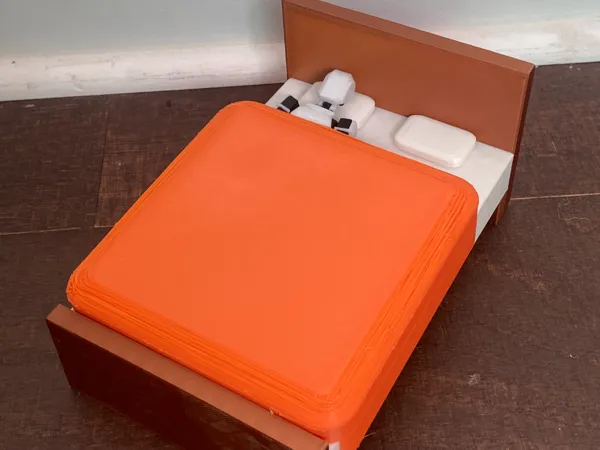 https://makerworld.bblmw.com/makerworld/model/US1060566b602483/design/2024-11-15_2f1fc655063f.jpg