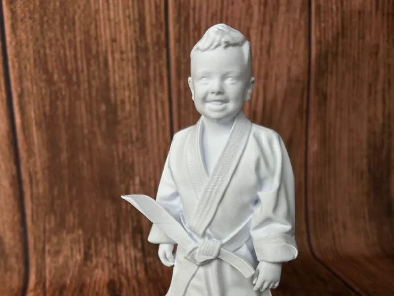 Troca de faixa jujitsu