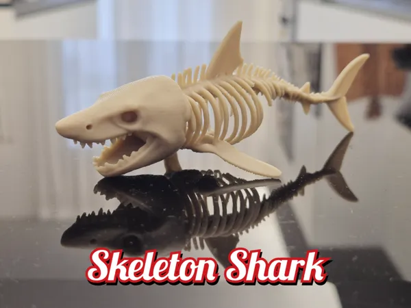 https://makerworld.bblmw.com/makerworld/model/US1060ee9c43a07/design/2025-06-13_fc160bebaa21c8.jpg
