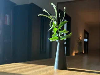 Bud Vase 01 — Modern Tapered Vase for Cut Flowers