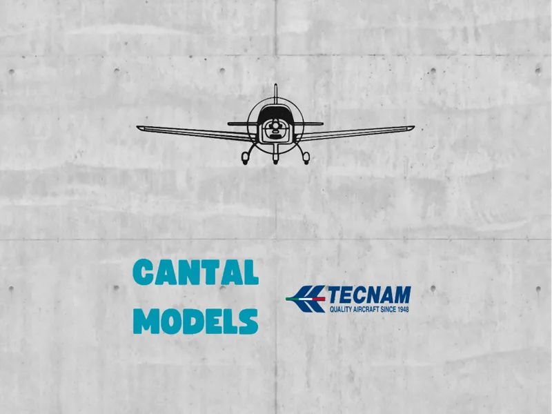 TECNAM P2002 #1 | 2D WALL ART