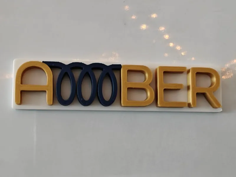 AMBER Magnet