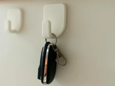 Wall Hook 