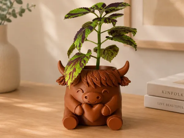 https://makerworld.bblmw.com/makerworld/model/US1071e9f5a7f6ee/design/e578bc11c43e45ba.jpg