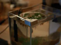 0.2mm 层高, 2 层墙, 15% 填充