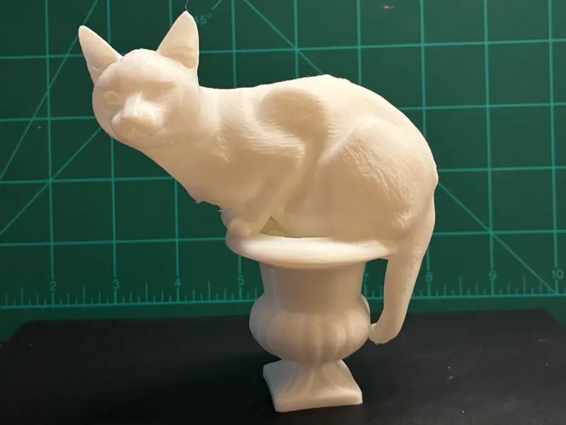 cat perched on vase