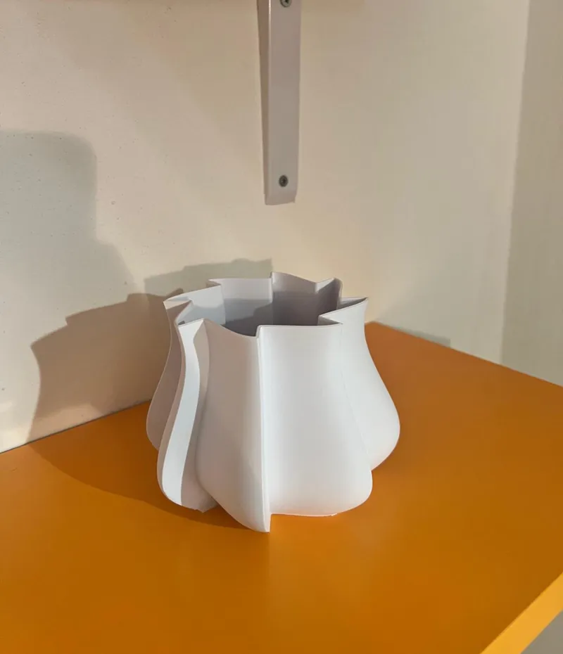 VASO PIANTE