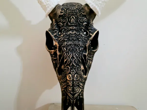 https://makerworld.bblmw.com/makerworld/model/US1078c422cbaad3/design/2026-01-04_53f2c181eee428.jpg