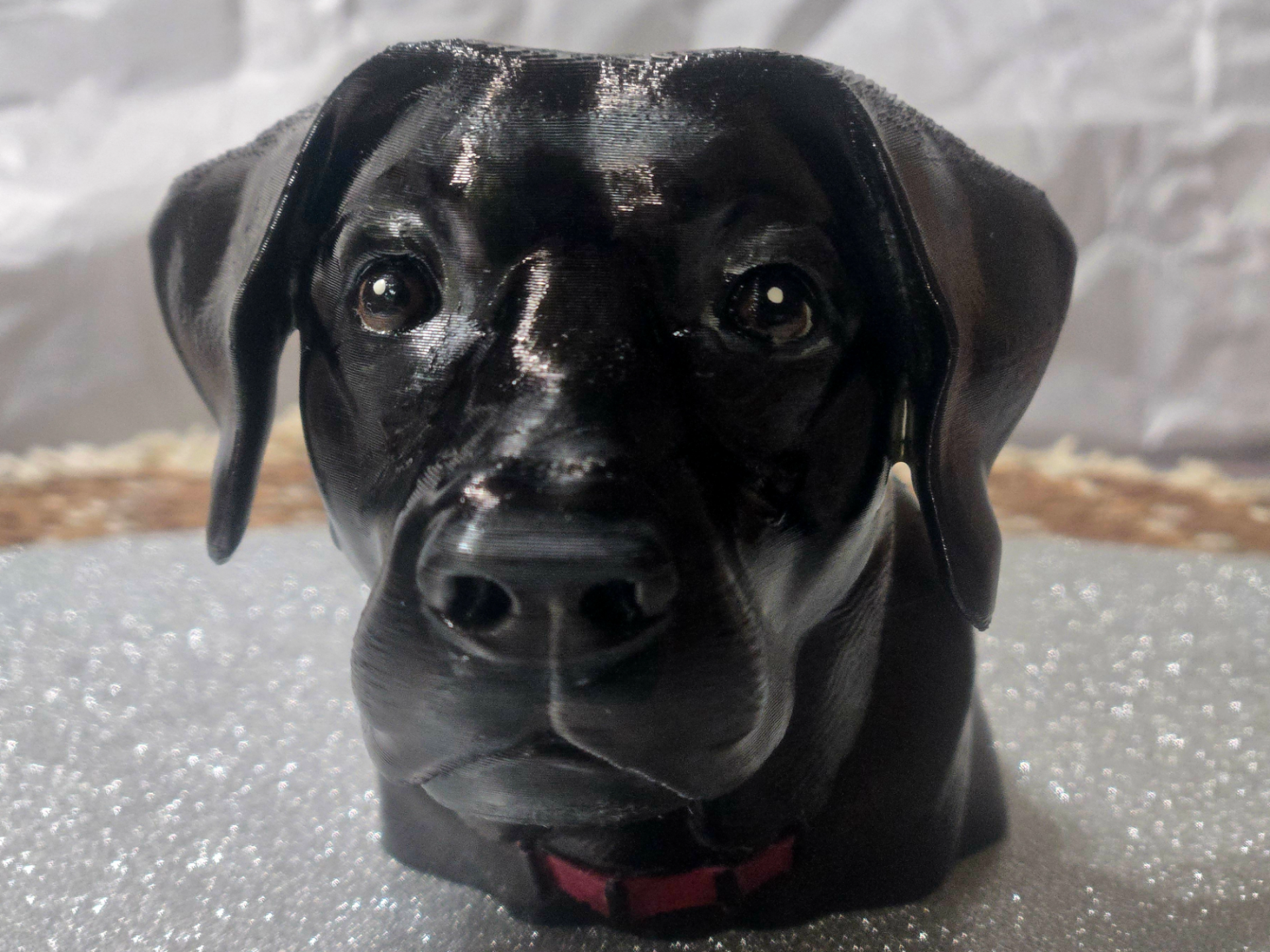 Lacy Black Lab Face