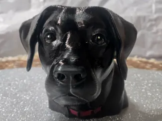 Lacy Black Lab Face