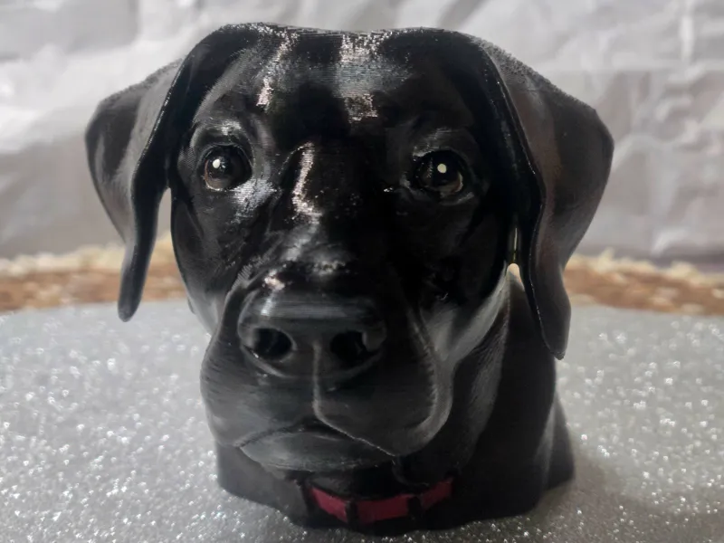 Lacy Black Lab Face