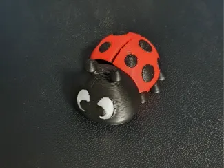 Little Ladybug