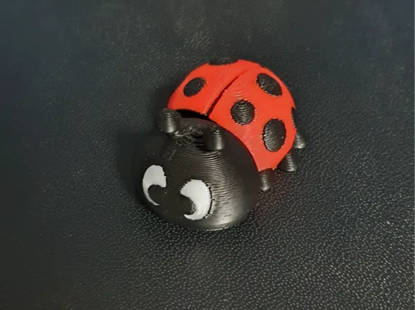 https://makerworld.bblmw.com/makerworld/model/US107fb3be1d9cc4/design/2025-01-09_04b6a1422d26a.jpg