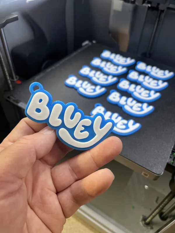 https://makerworld.bblmw.com/makerworld/model/US1080043fbf341d/design/2024-05-06_0b8fe004a70e6.jpg