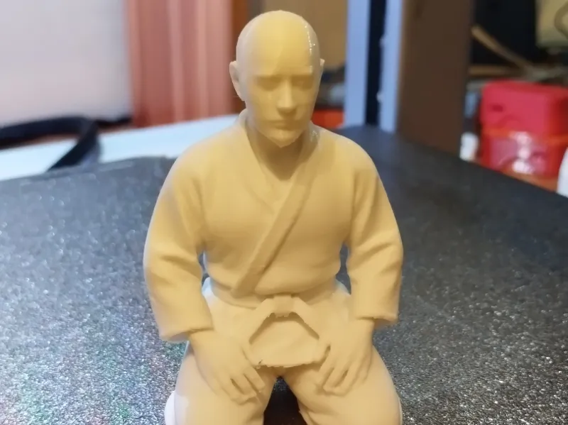 Judoka assis
