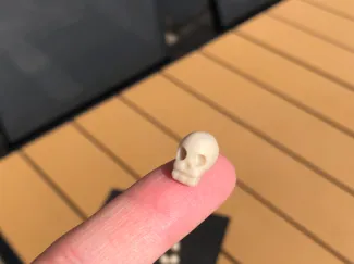 Very tiny skull