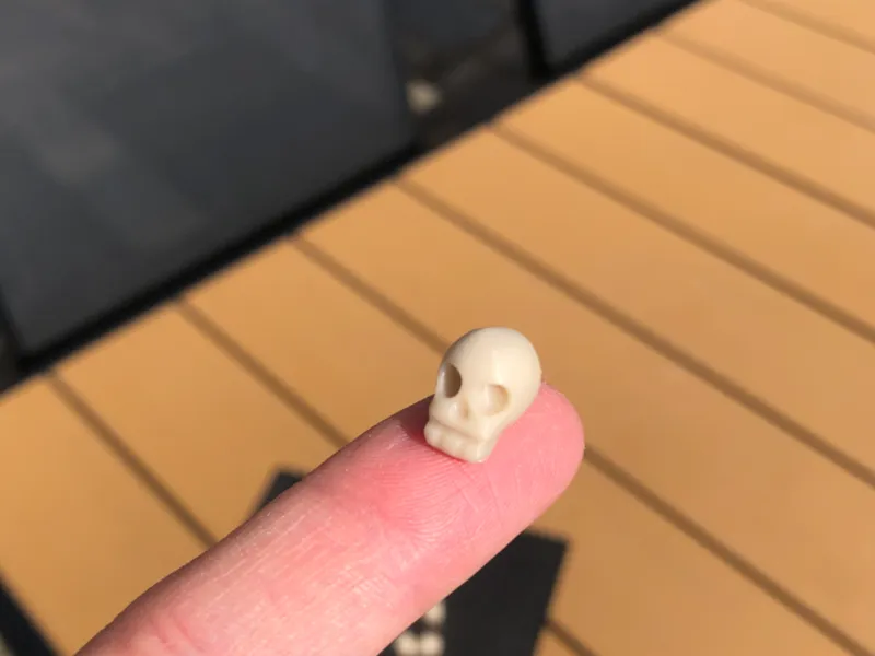 Very tiny skull