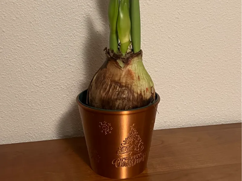 Christmas Planter Pot