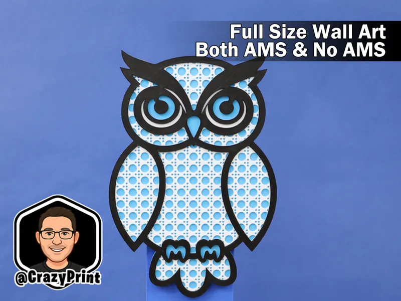 Layered Stylish Owl Wall Art / Sign - No AMS