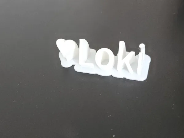 Plaque nom Loki pour animal