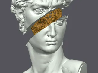 David Bust Voronoi Memento Mori 