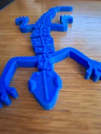 geckoz_straight
