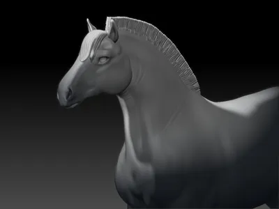 Fjord Pony/horse