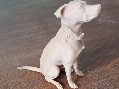 Vily