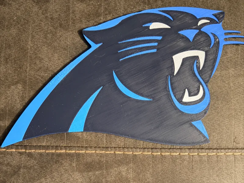 N.C panther's