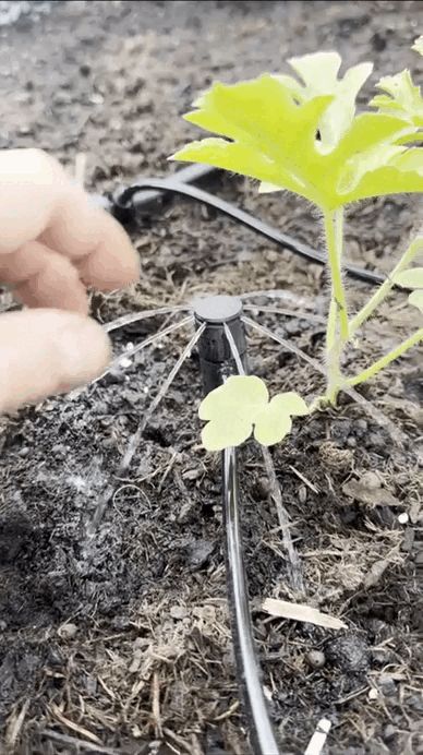 https://makerworld.bblmw.com/makerworld/model/US108d2137741133/design/2025-05-26_6230abb826c708.gif