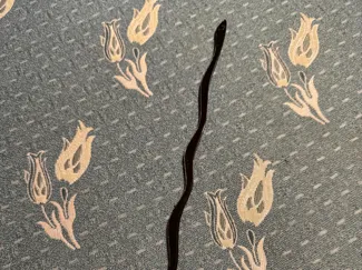SILLY SIMPLE CAT TOY