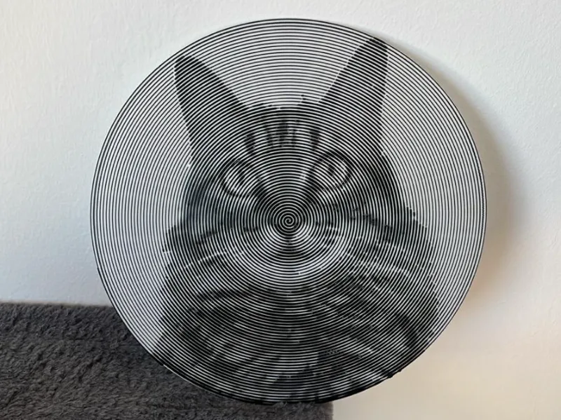 Vinilo de gato