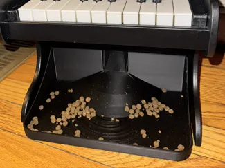 Pet Piano Tray