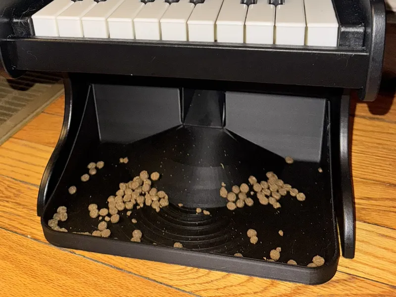 Pet Piano Tray
