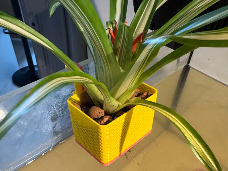 Adjustable hanging vase