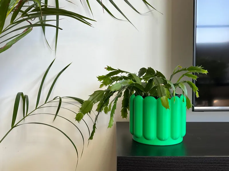 'Biscuit' Planter or Plant Pot