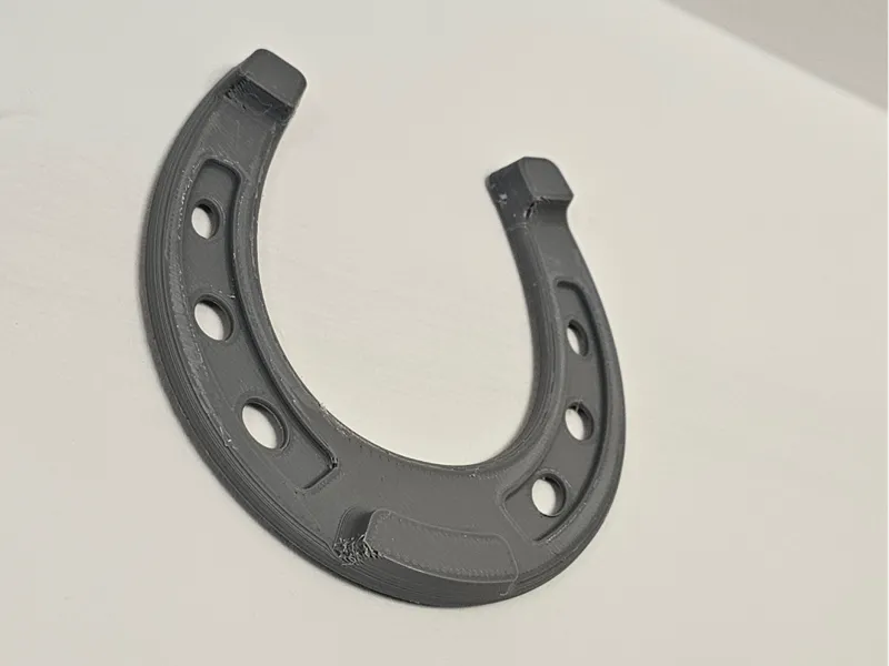 Horse Shoe Lucky charm wall ornament