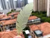 Imitation Organza Feather Bookmark