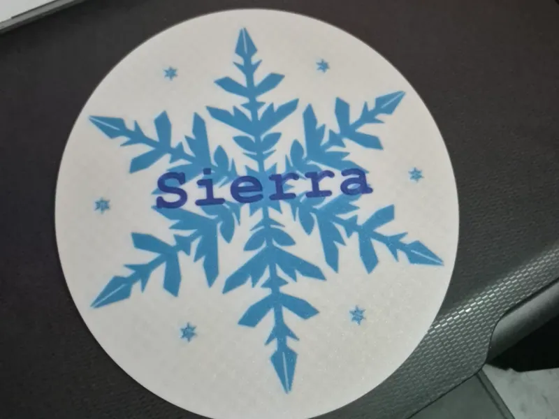 Frozen Custom Wall Art