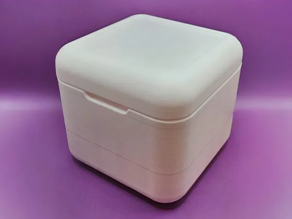 https://makerworld.bblmw.com/makerworld/model/US10a196cc792b6d/design/2025-10-06_196b67474b3aa.jpg