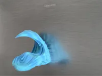 The Wave