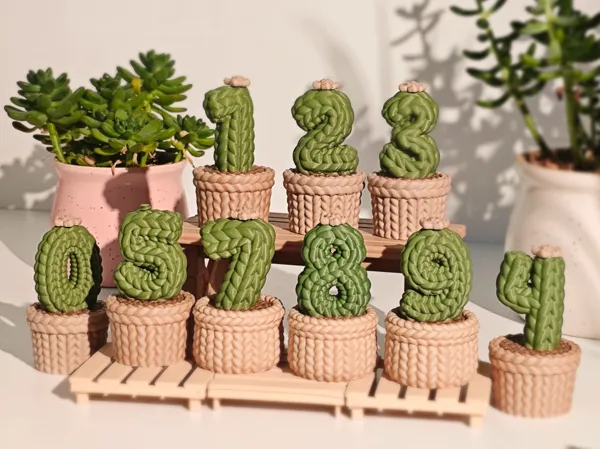 https://makerworld.bblmw.com/makerworld/model/US10a56652218e2d/design/770cccf5f0ddb1b3.jpg